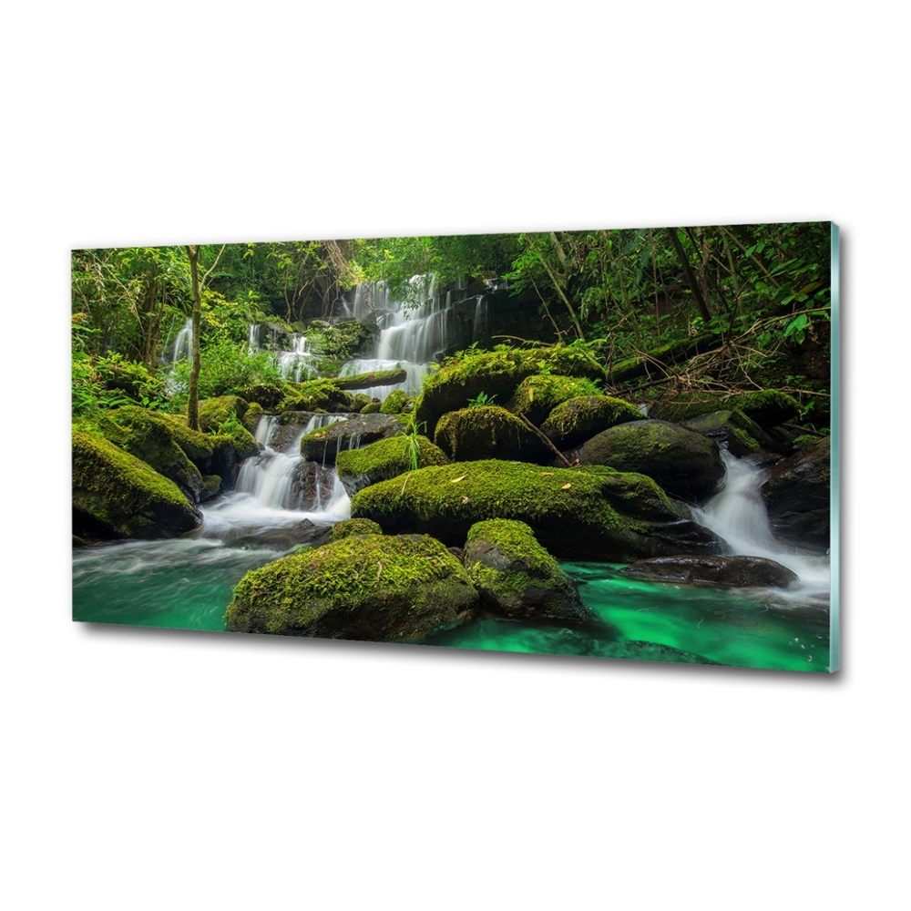 Tableau en verre Chute d'eau dans la forêt mousse