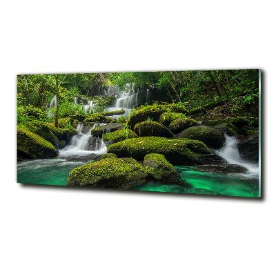 Tableau en verre Chute d'eau dans la forêt mousse