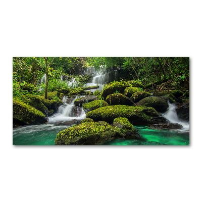 Tableau en verre Chute d'eau dans la forêt mousse