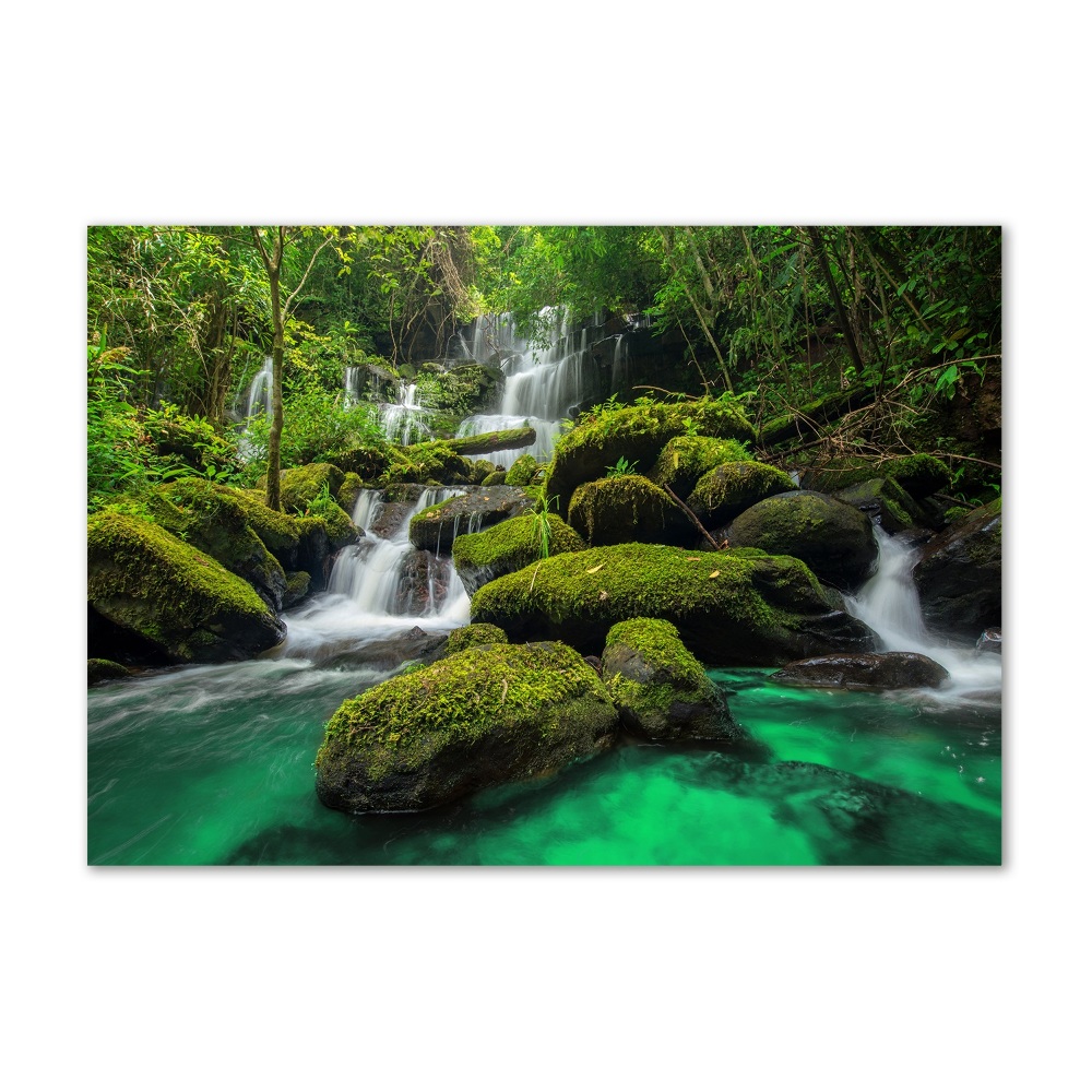 Tableau en verre Chute d'eau dans la forêt mousse