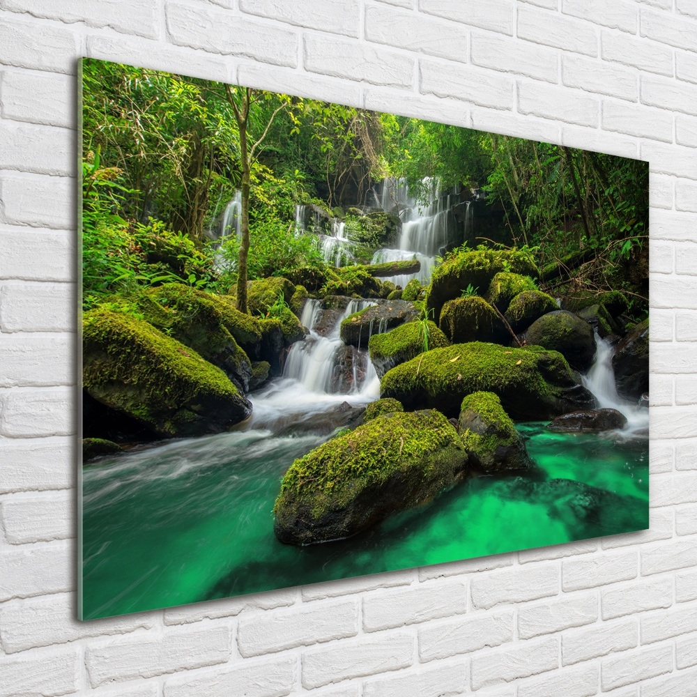 Tableau en verre Chute d'eau dans la forêt mousse