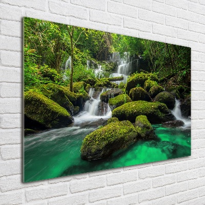 Tableau en verre Chute d'eau dans la forêt mousse