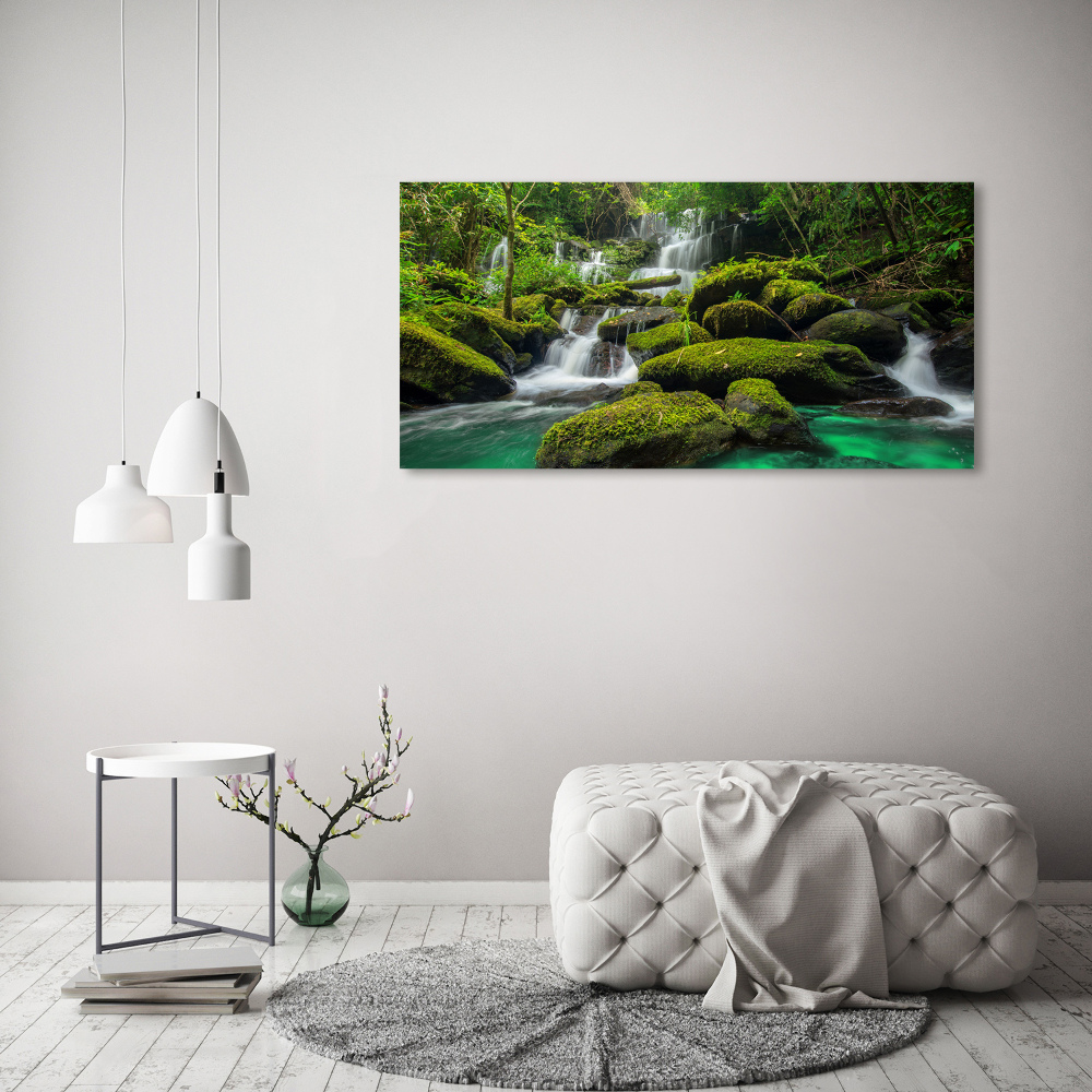 Tableau en verre Chute d'eau dans la forêt mousse