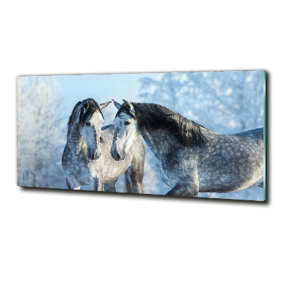 Tableau photo sur verre Chevaux gris en hiver