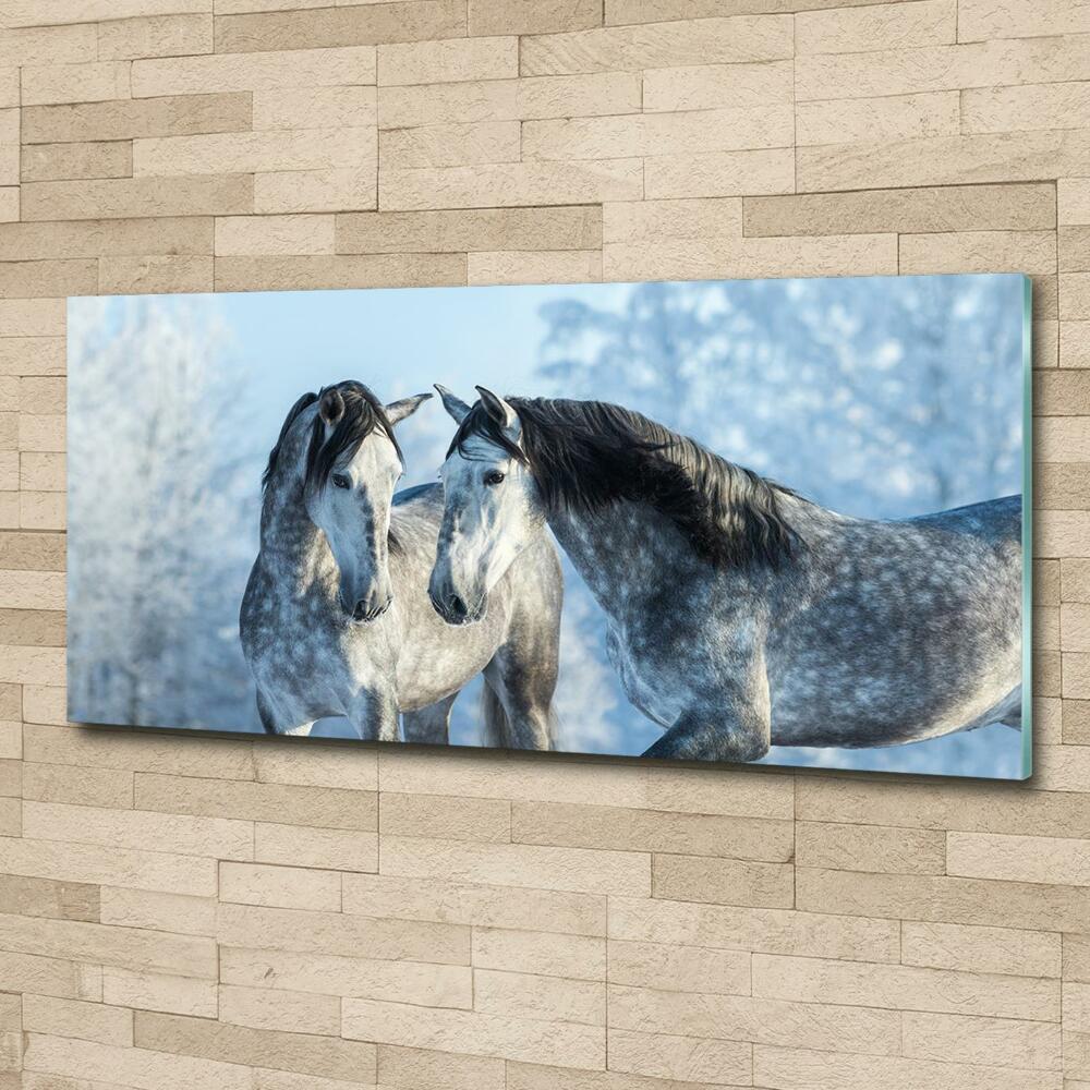 Tableau photo sur verre Chevaux gris en hiver