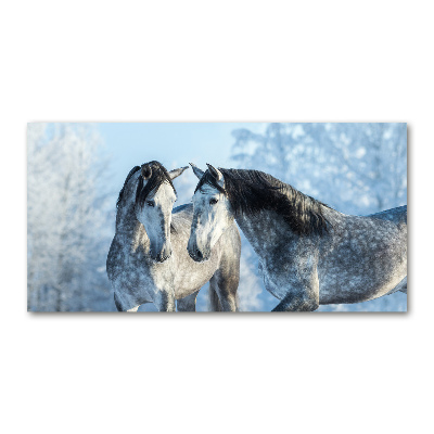 Tableau photo sur verre Chevaux gris en hiver