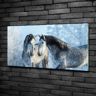 Tableau photo sur verre Chevaux gris en hiver