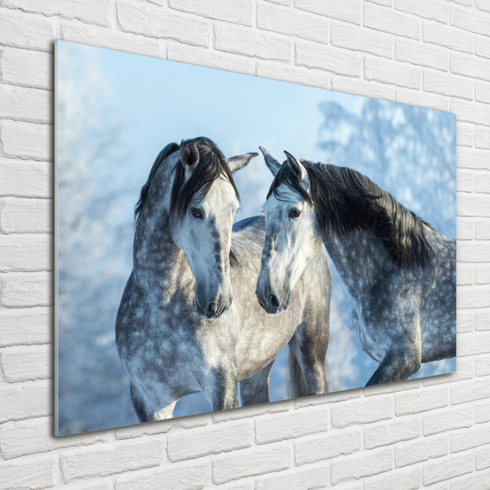 Tableau photo sur verre Chevaux gris en hiver