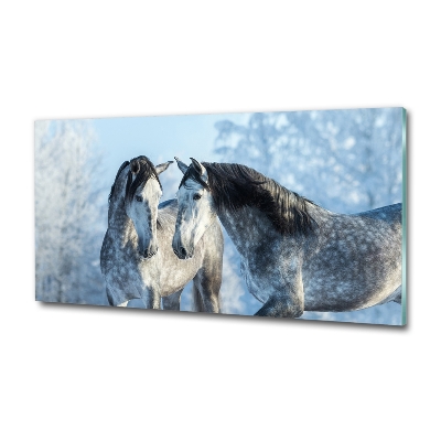 Tableau photo sur verre Chevaux gris en hiver