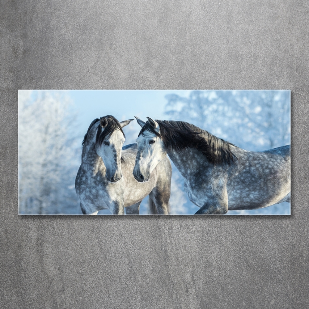 Tableau photo sur verre Chevaux gris en hiver