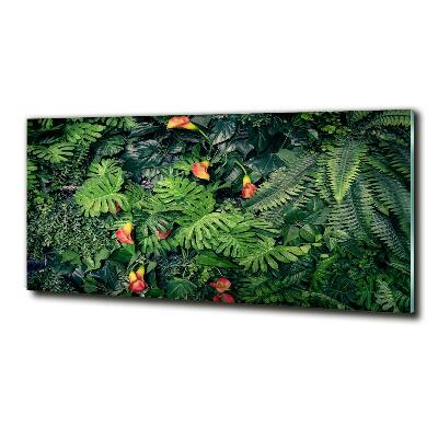 Tableau imprimé sur verre Jungle exotique