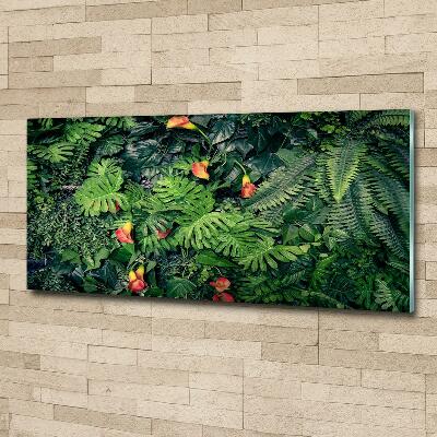 Tableau imprimé sur verre Jungle exotique