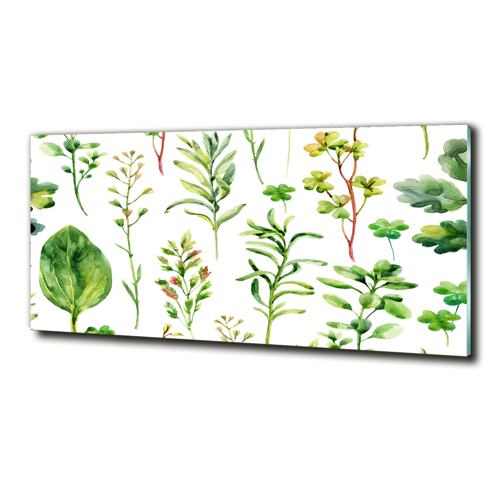 Tableau verre imprimé Herbes et mauvaises herbes