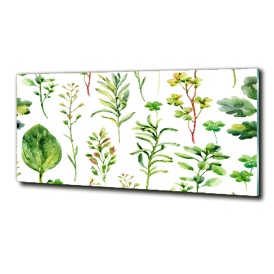 Tableau verre imprimé Herbes et mauvaises herbes