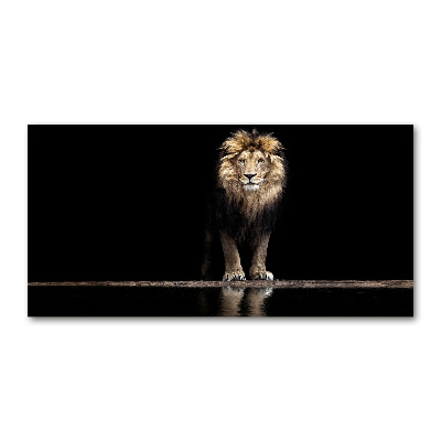 Tableau imprimé sur verre Portrait d'un lion