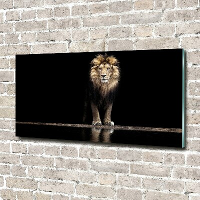 Tableau imprimé sur verre Portrait d'un lion