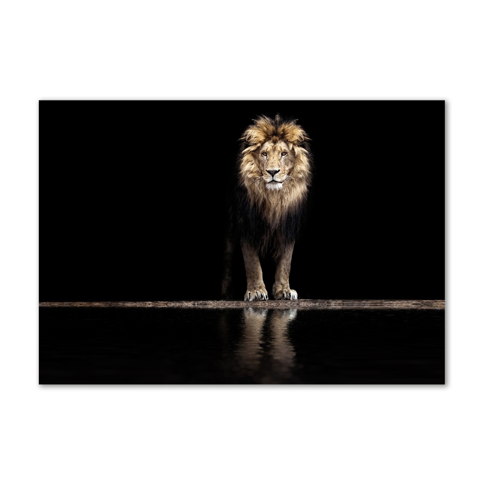 Tableau imprimé sur verre Portrait d'un lion