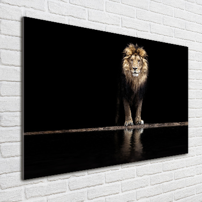 Tableau imprimé sur verre Portrait d'un lion