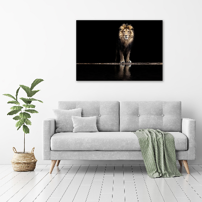 Tableau imprimé sur verre Portrait d'un lion