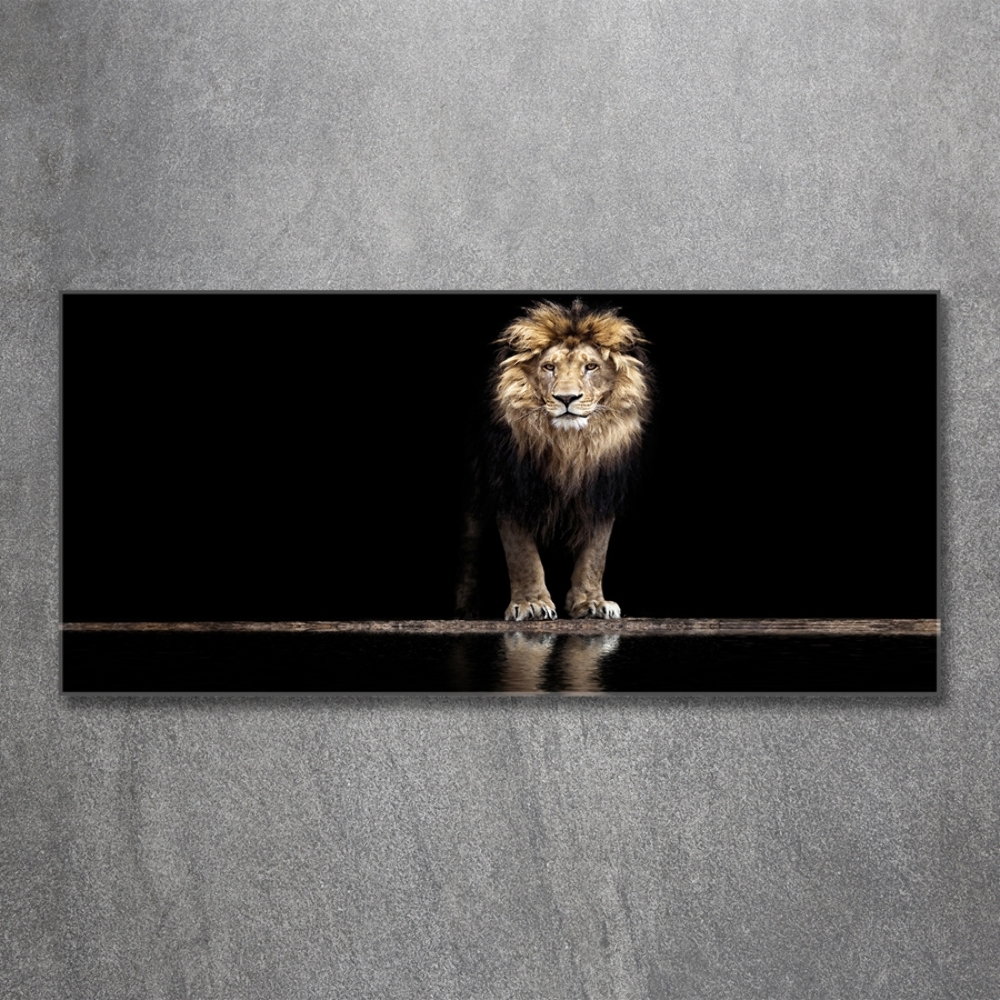 Tableau imprimé sur verre Portrait d'un lion