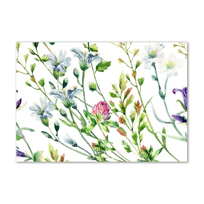 Tableau en verre Fleurs sauvages