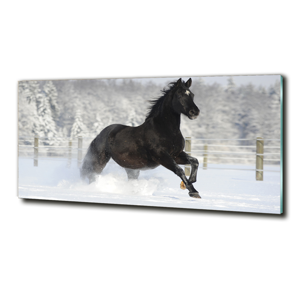 Tableau photo sur verre Cheval au galop Neige