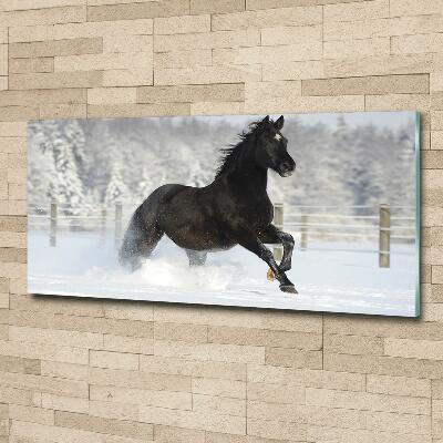 Tableau photo sur verre Cheval au galop Neige