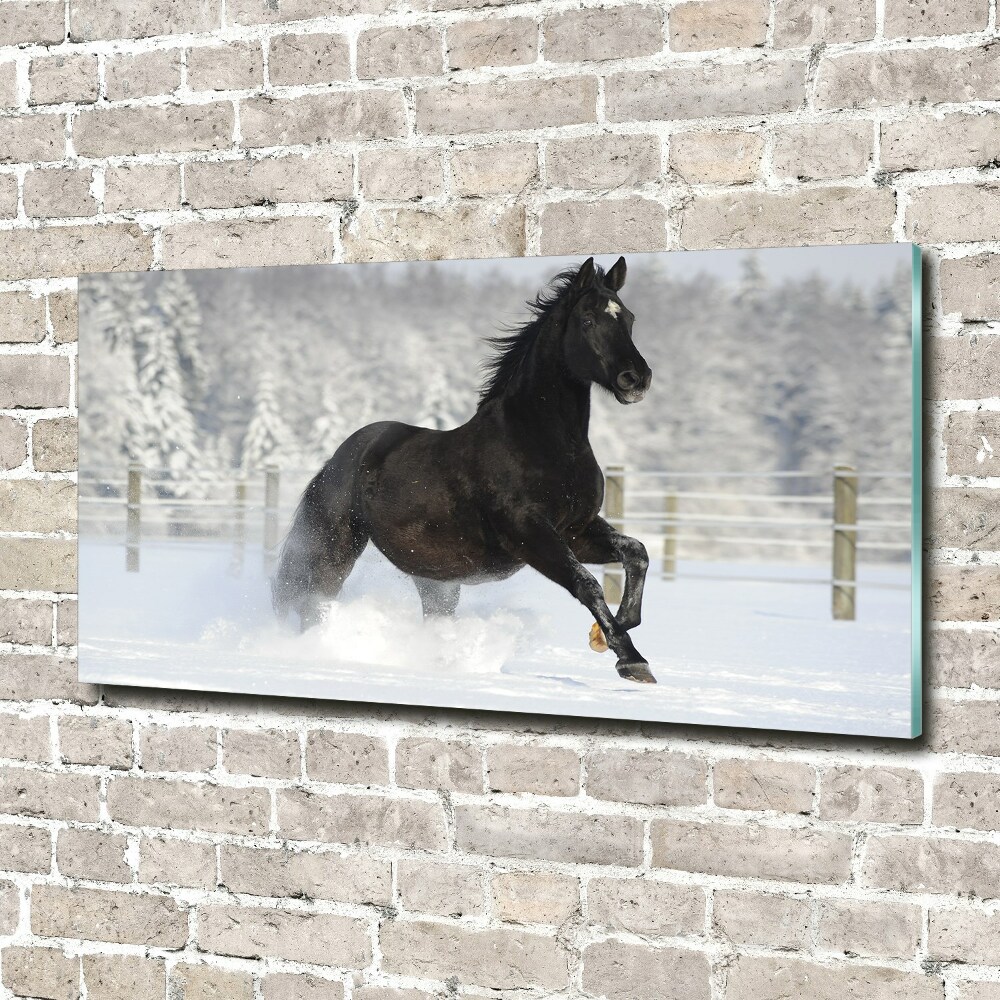 Tableau photo sur verre Cheval au galop Neige