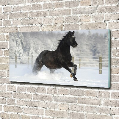 Tableau photo sur verre Cheval au galop Neige