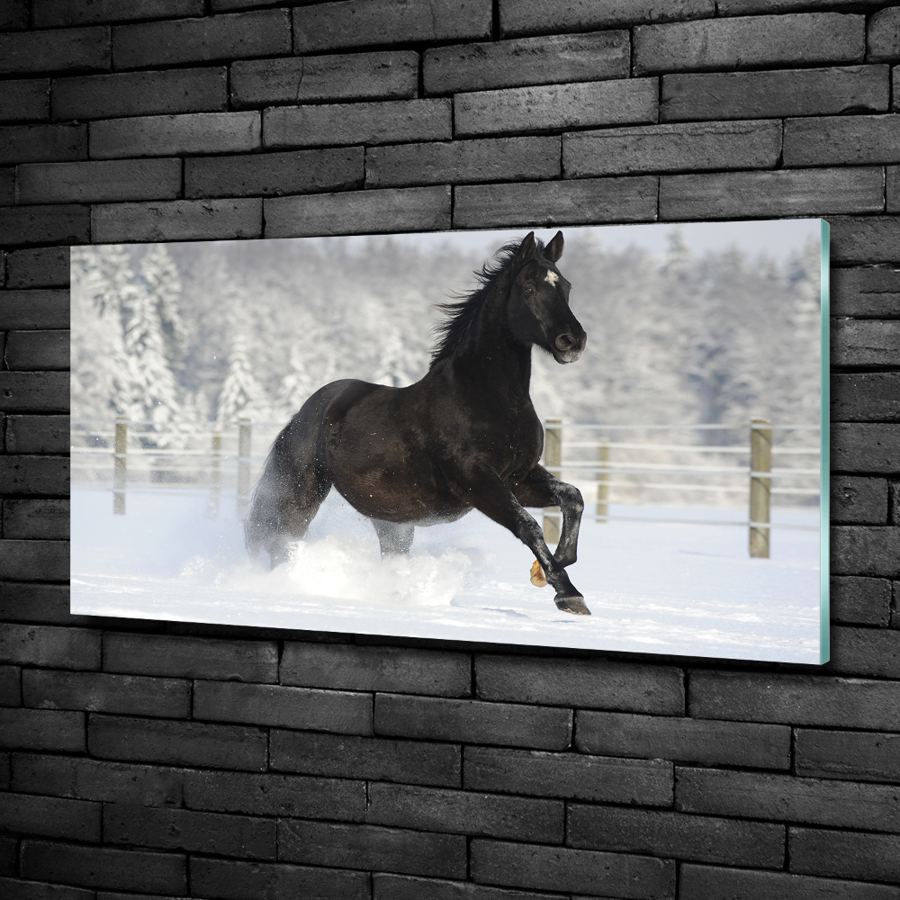 Tableau photo sur verre Cheval au galop Neige