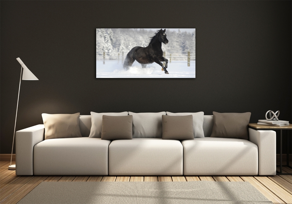 Tableau photo sur verre Cheval au galop Neige