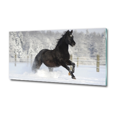 Tableau photo sur verre Cheval au galop Neige