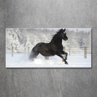 Tableau photo sur verre Cheval au galop Neige