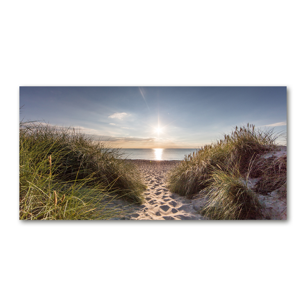 Tableau imprimé sur verre Dunes de bord de mer