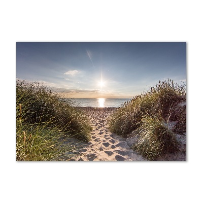 Tableau imprimé sur verre Dunes de bord de mer