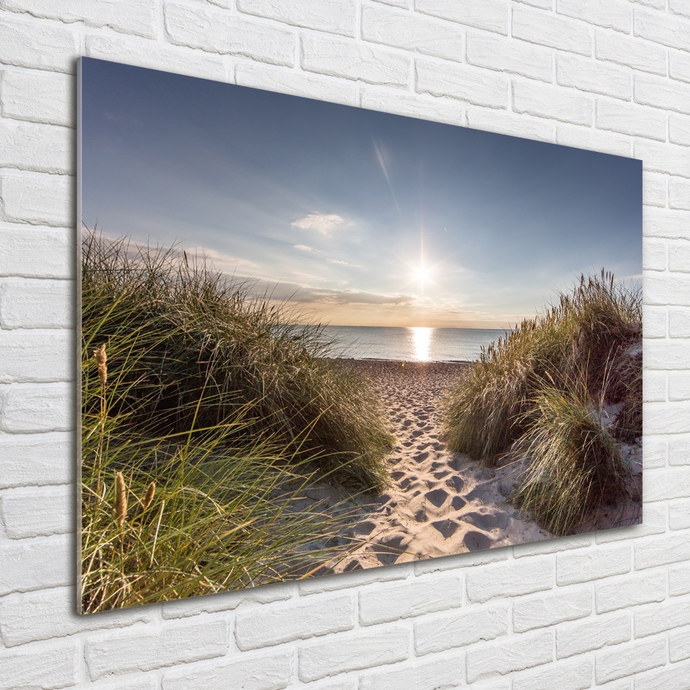 Tableau imprimé sur verre Dunes de bord de mer