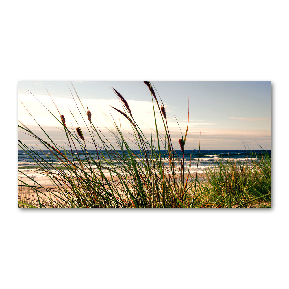 Tableau verre imprimé Les dunes de mer