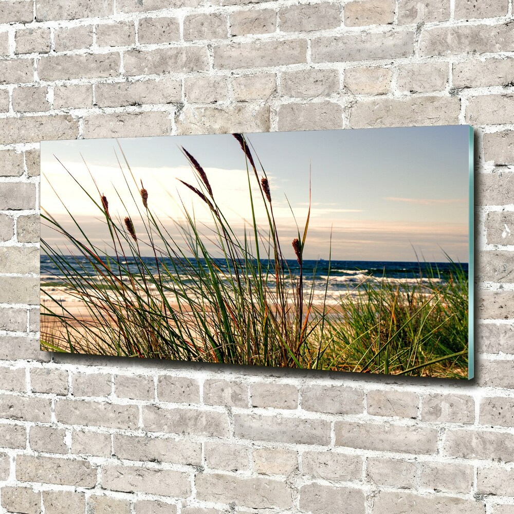 Tableau verre imprimé Les dunes de mer