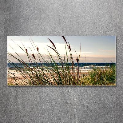 Tableau verre imprimé Les dunes de mer