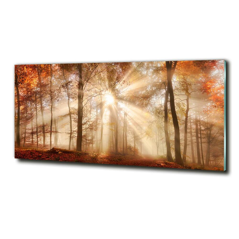 Tableau imprimé sur verre Brume dans la forêt en automne