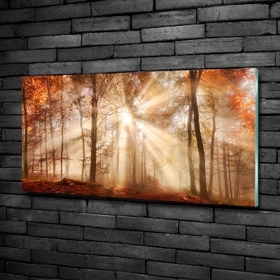 Tableau imprimé sur verre Brume dans la forêt en automne