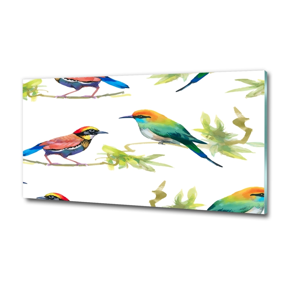 Tableau imprimé sur verre Oiseaux exotiques