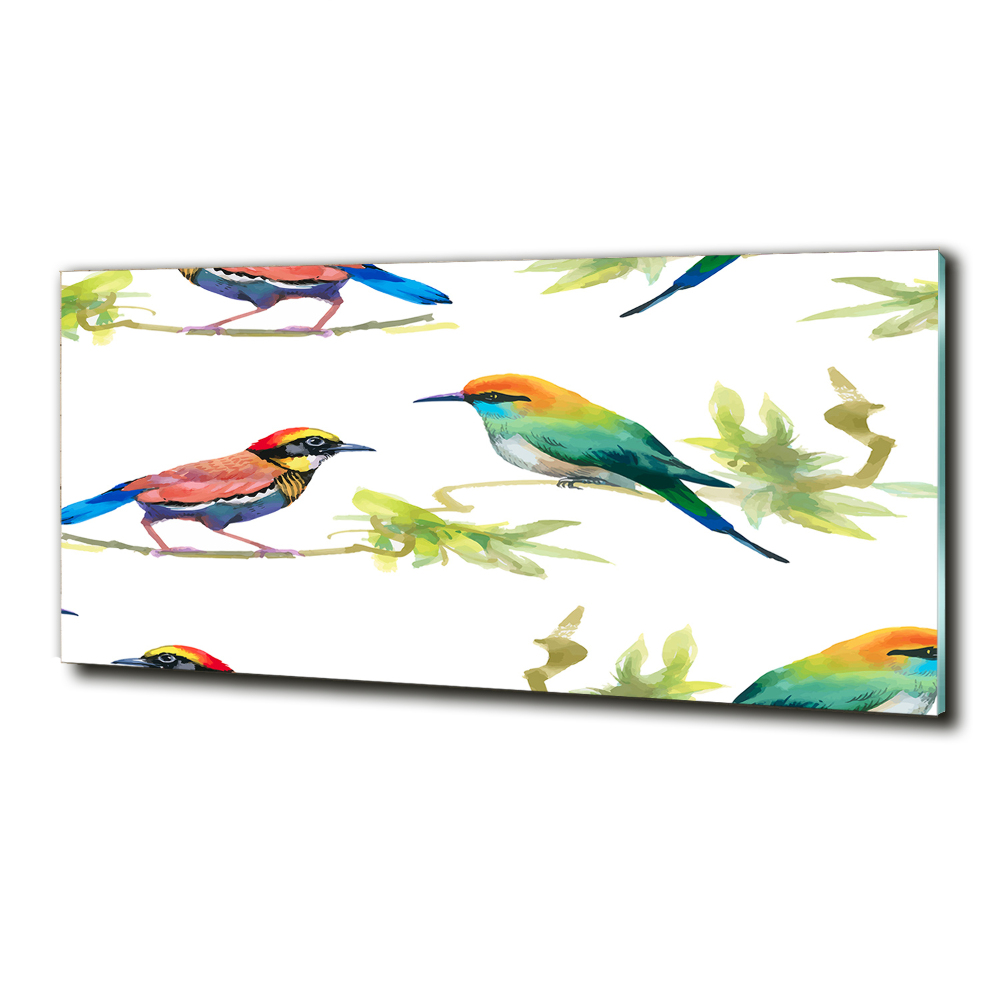 Tableau imprimé sur verre Oiseaux exotiques