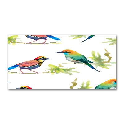 Tableau imprimé sur verre Oiseaux exotiques