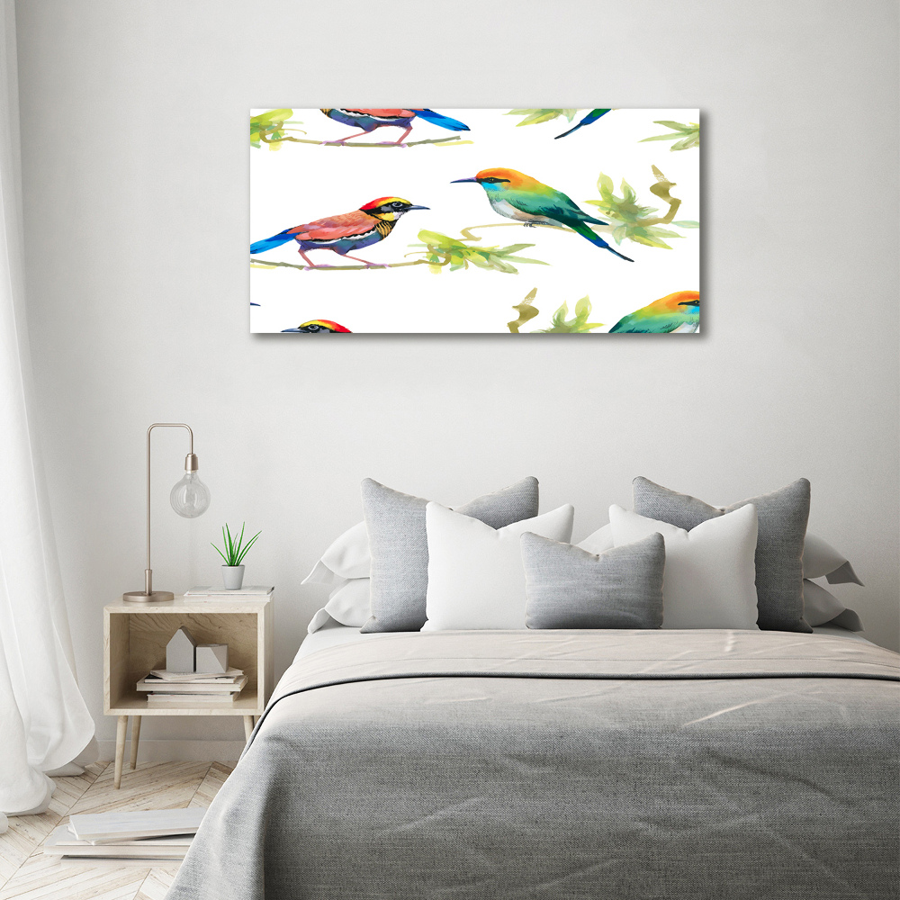 Tableau imprimé sur verre Oiseaux exotiques