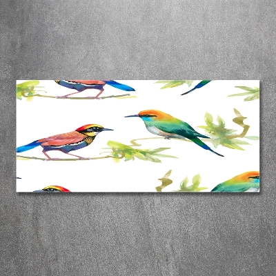 Tableau imprimé sur verre Oiseaux exotiques