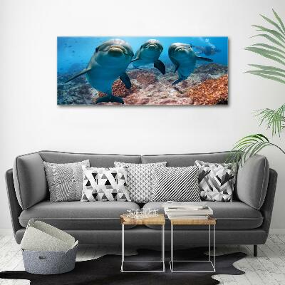 Tableau verre imprimé Dauphins