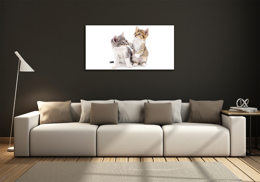 Tableau photo sur verre Deux petits chats