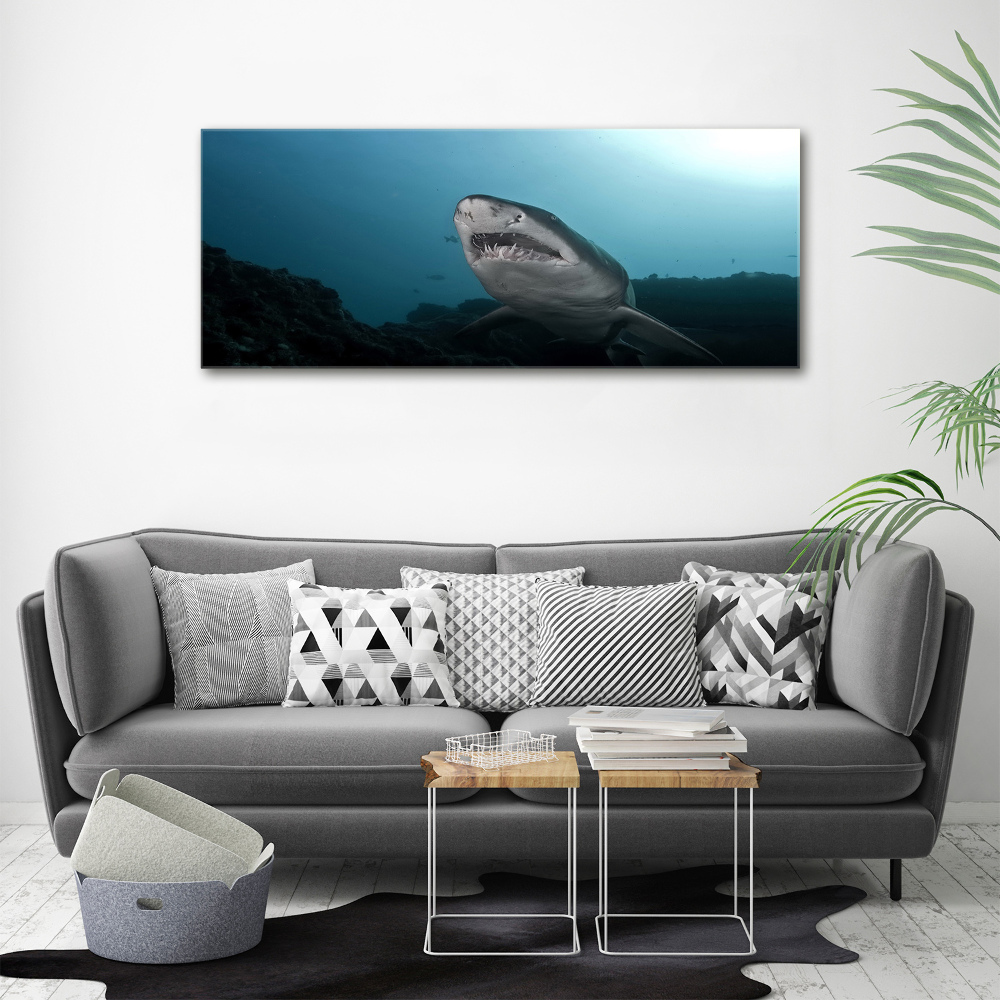 Tableau verre imprimé Grand requin