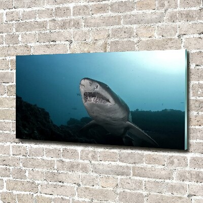 Tableau verre imprimé Grand requin